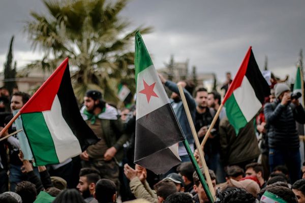 Ahmed akacha באתר PEXELS אדם של מיליון: המהפך של המומחה בהפגנת המליון הסעות