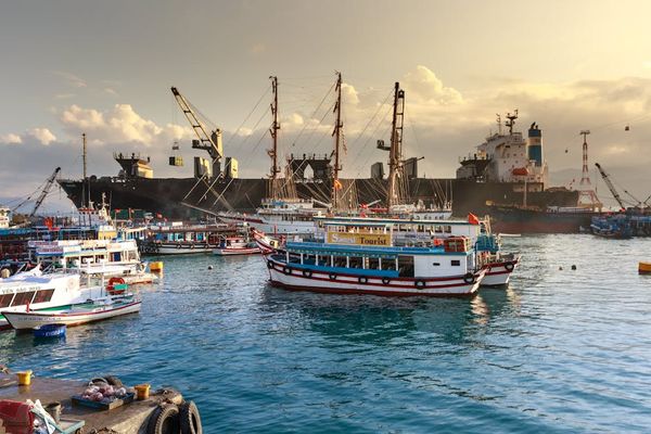  מאסטר לטיולים בים המלח: תכנון מדויק וחוויה מרהיבה