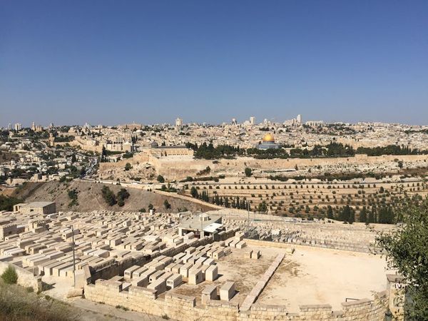 أمين عدلي حمد באתר PEXELS מאגרים בלב: יומן מן הסעה לירושלים